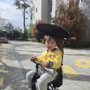 카플러스 | [내돈내산] 국민 트라이크 에이블유모카플러스 후기 (기내용, 국민템, 등원용, 트라이크, 휴대용 유모차)