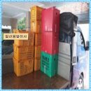 삼일화물 이미지
