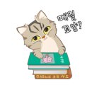 카페드단아한동탄