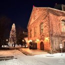 징기스칸치킨 | 삿포로 비어 가든 포플러관 저녁 후기｜맥주의 본고장에서 먹는 징기스칸, 분위기 하나로 충분