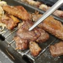 숲과오리다섯번째이야기