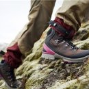 에코바이옴 이미지