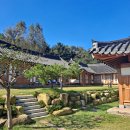 야옹아 놀자 경주점 | 백신 휴무로 다녀온 대구도 찍고 경주 춘추관한옥펜션에서!