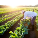 참 행정사 이미지