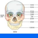 황금종1 이미지