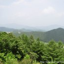월천리 경로당 네이버블로그