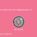 페스티벌이벤트 이미지