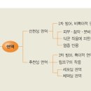 면역 免疫 이란 ? 이미지