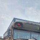 블루버드28