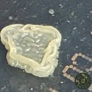 새소리농장 이미지