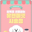 화성 | 화성고양이분양 후기｜조심스럽게 시작한 집사 생활