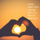 다모아식당 이미지