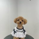 개린이살롱 이미지