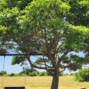 게티하우스 이미지