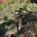 공지산 둘레길 이미지