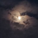 구름 속 달을 보다가 (6)~(7) 이미지