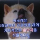 함라건강원
