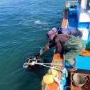 연안목장 이미지