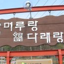 머루랑다래랑 이미지