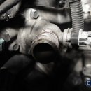 익서스(EXUS) 이미지