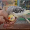 여주곤충박물관 이미지