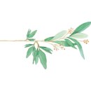 두두어린이집 이미지