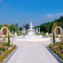 초록빛유치원 | 경기 파주 벽초지수목원 웨딩촬영 후기 | 셀프웨딩 장소 추천