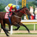 지금이순간 이미지