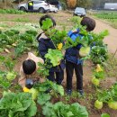 신정4동어린이집 이미지