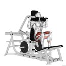 V10휘트니스 이미지