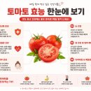 수정이네과일 | 토마토추천! 농부오길환 퇴촌토마토 5kg 솔직후기｜동양종 벌수정 완숙토마토가 맛있는 이유