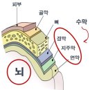 24시 청주이음동물의료센터 이미지