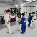 Dream of Judo 태평유도관 이미지