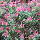 인동농장 이미지