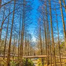 삼척해수욕장C 이미지