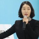 변호사강전애법률사무소