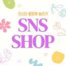 인스타PC | 인스타 팔로워 늘리는법 셀프 활용한 후기