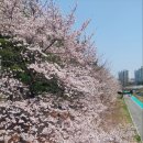 청사법무사사무소