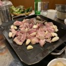 평화김해뒷고기 구서점 이미지