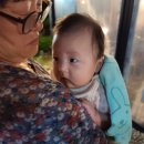 서영이 할머니네 이미지