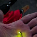 생태과학원정대 이미지