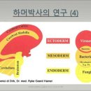 에너지의학의 기초 이론의 대표적인 하머박사 이야기 이미지