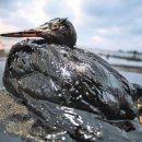 하늘작은도서관 이미지