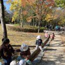 대전청사아람어린이집 | 🍁가을아 안녕🍂 by대전청사아람어린이집