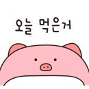 김밥시그널