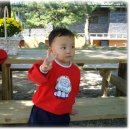 정심 어린이집 이미지