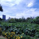 발산게스트하우스