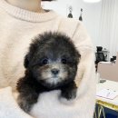 요녀석(하남점) 이미지