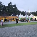 바다스케치 | 몽산포 GO OUT 캠프 2025 – 자연 속 감성과 음악이 만난 축제