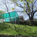 호두경로당 이미지